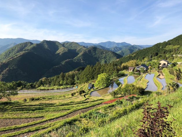 Kumano Kodo rice terrace homes