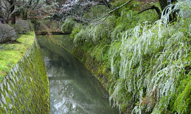 Philosopher's Path Walk - Kyoto Journal