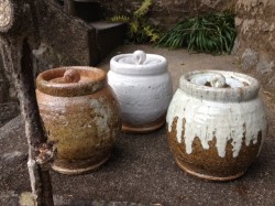 Aoki pots