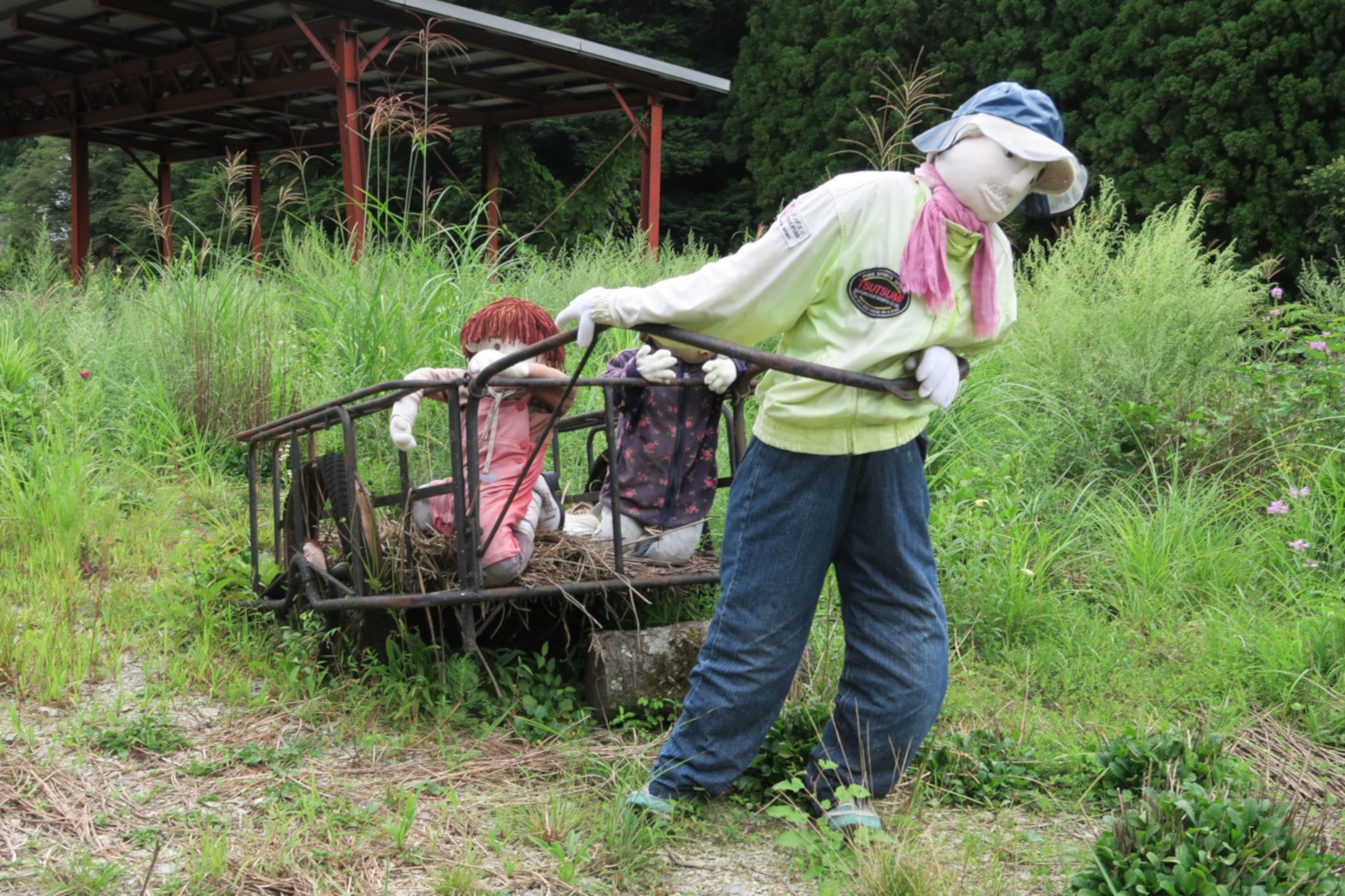 Kakashi protecting vegetable garden