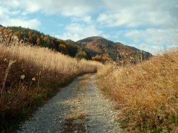 Into the Hills