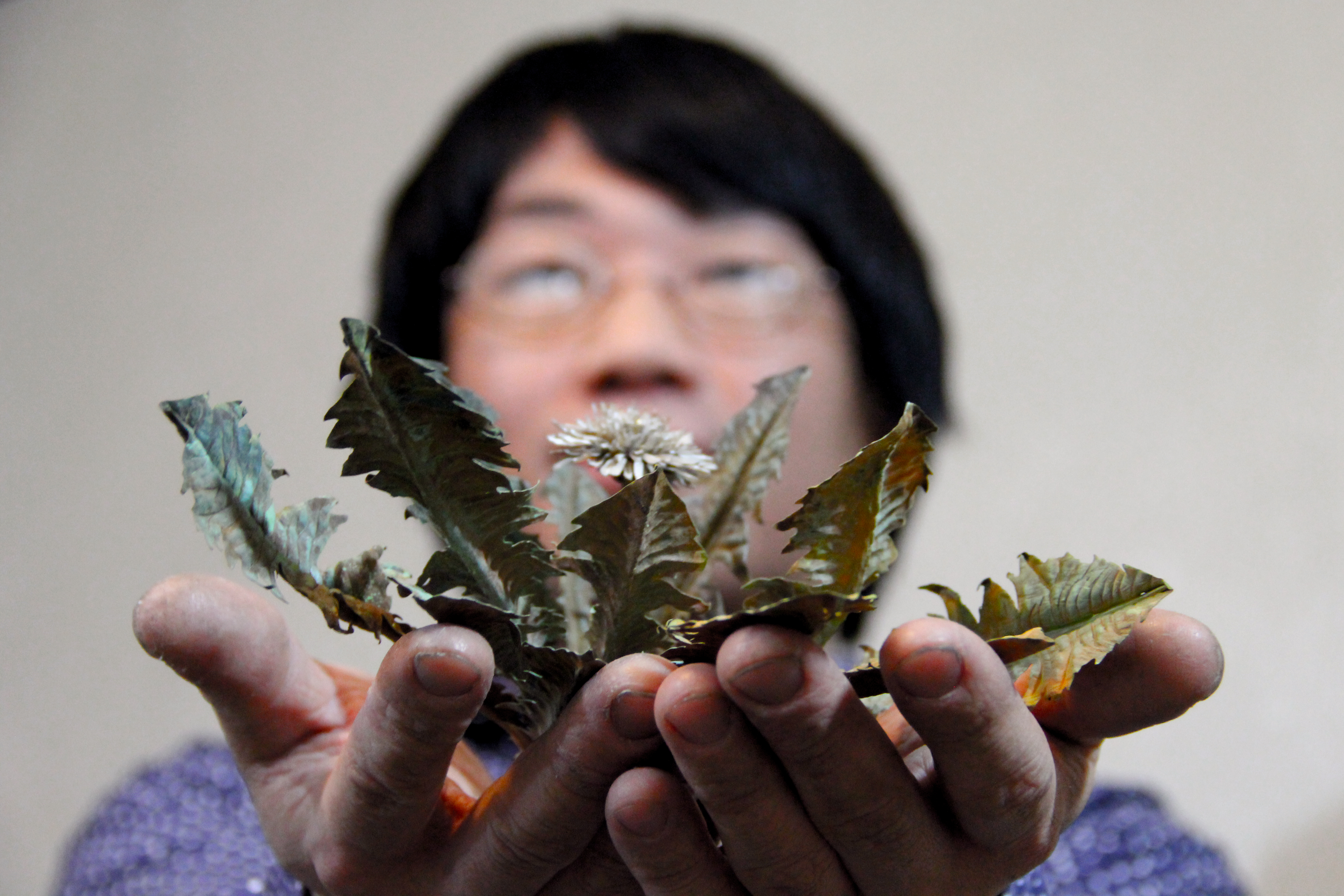 魔界創立者flower Welded from Nature: The Botanical Creations of Shota Suzuki