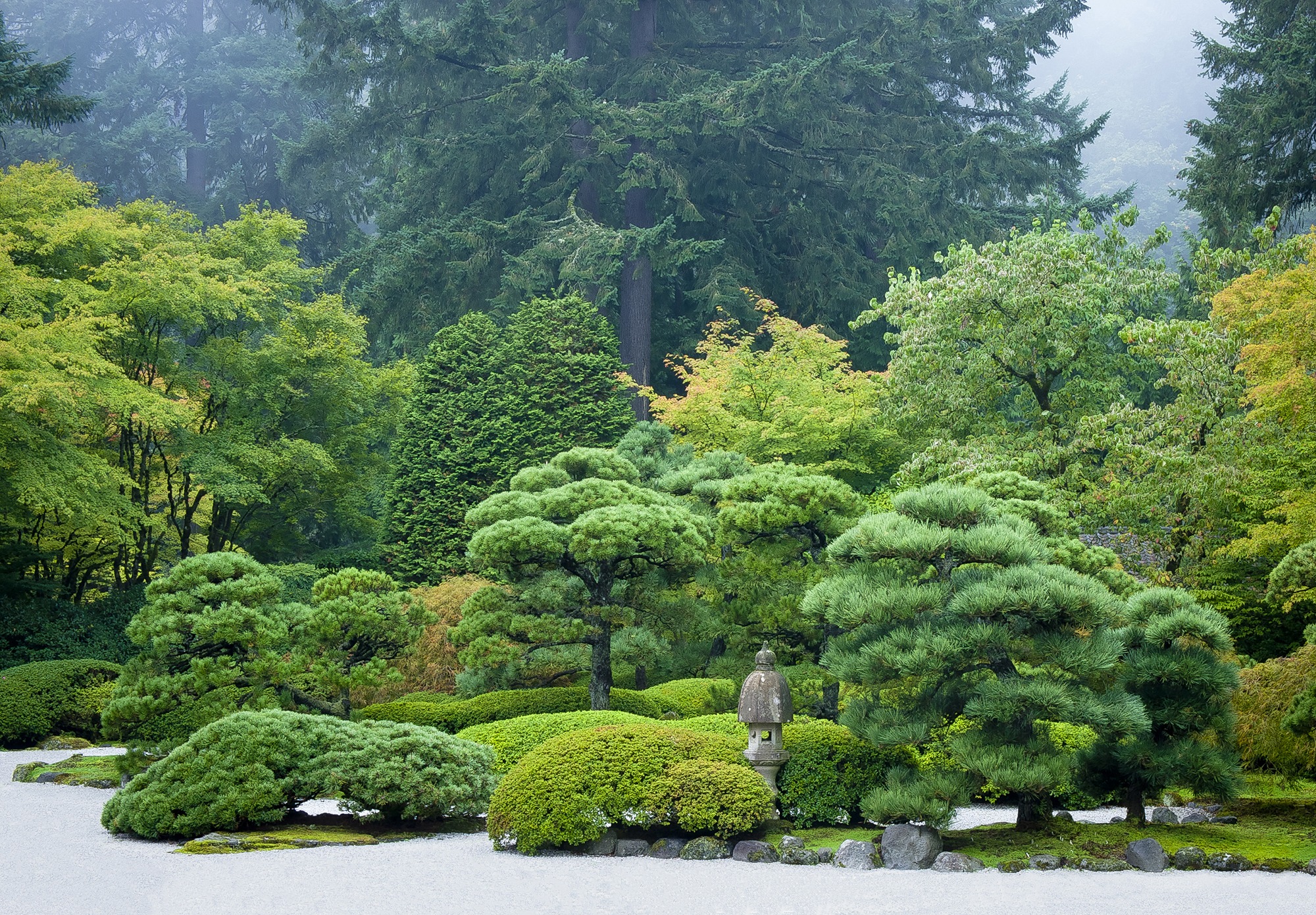 found-in-translation-teaching-the-art-of-the-japanese-garden-kyoto