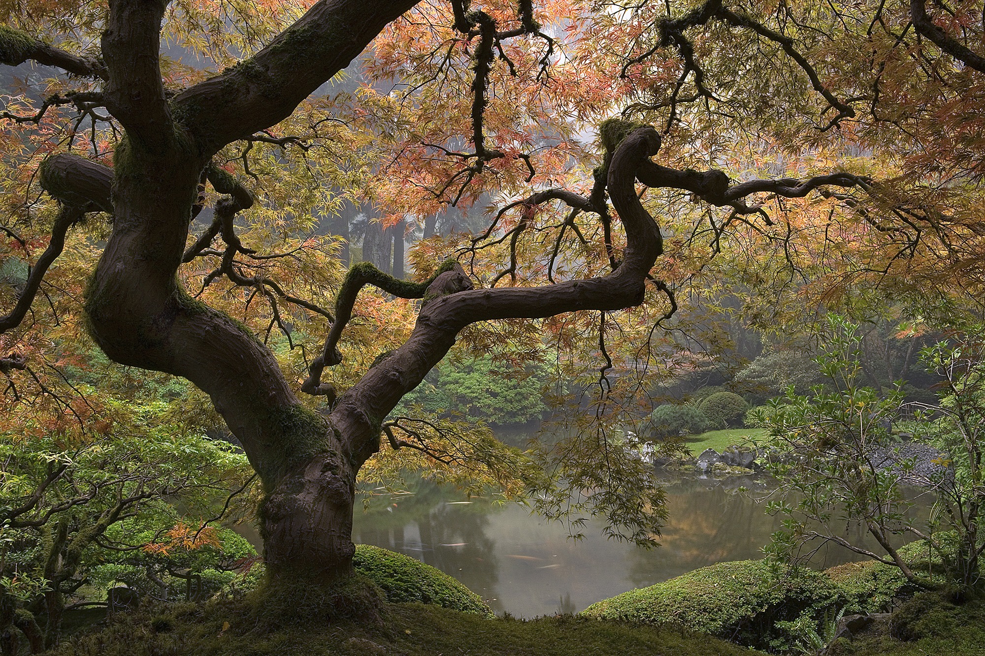 Uncovering Japanese Gardens Outside of Japan – Kyoto Journal