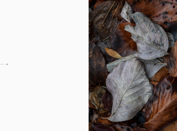 The Book of Leaves - Image 4